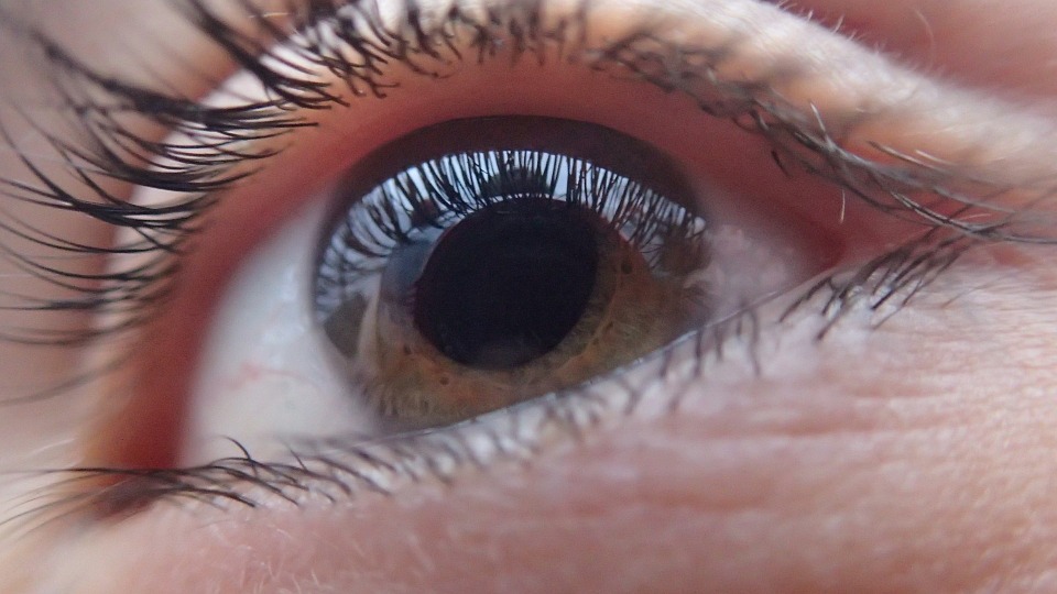 Los riesgos de los enfermos de glaucoma sin diagnóstico